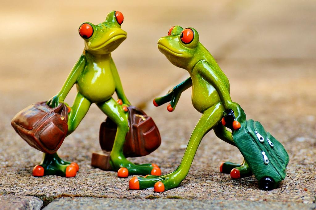 Community-driven travel recommendations interface