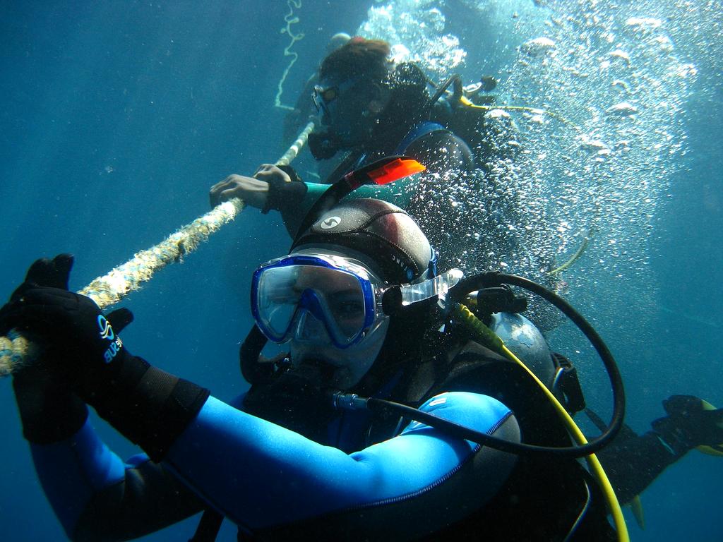 Travel insurance shield icon