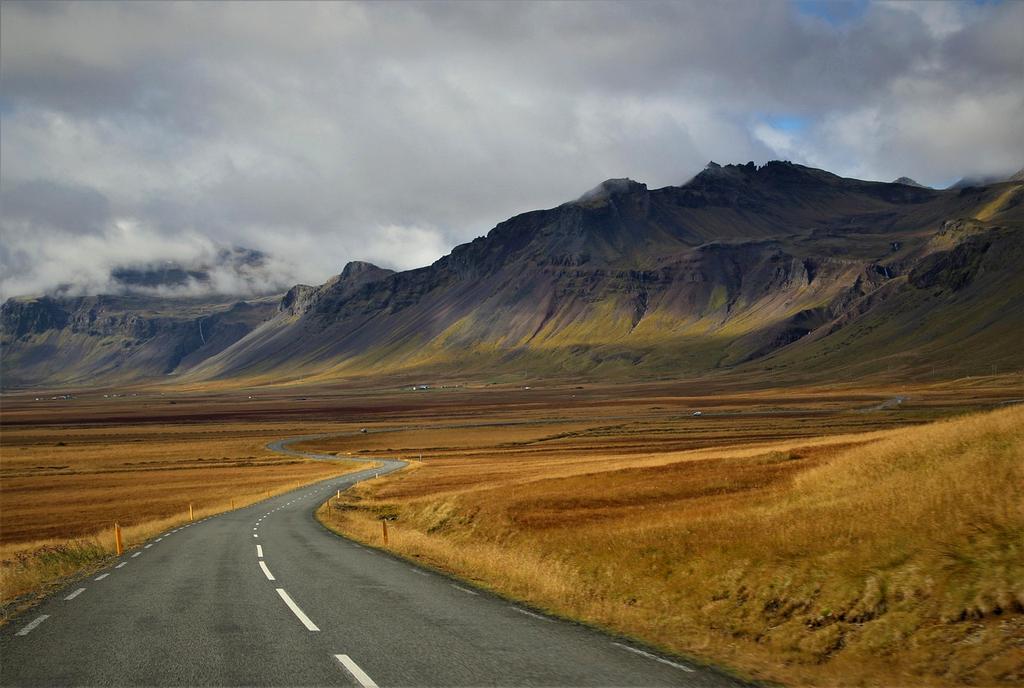 Portrait of Sarah Johnson, CEO of BRANDNAME